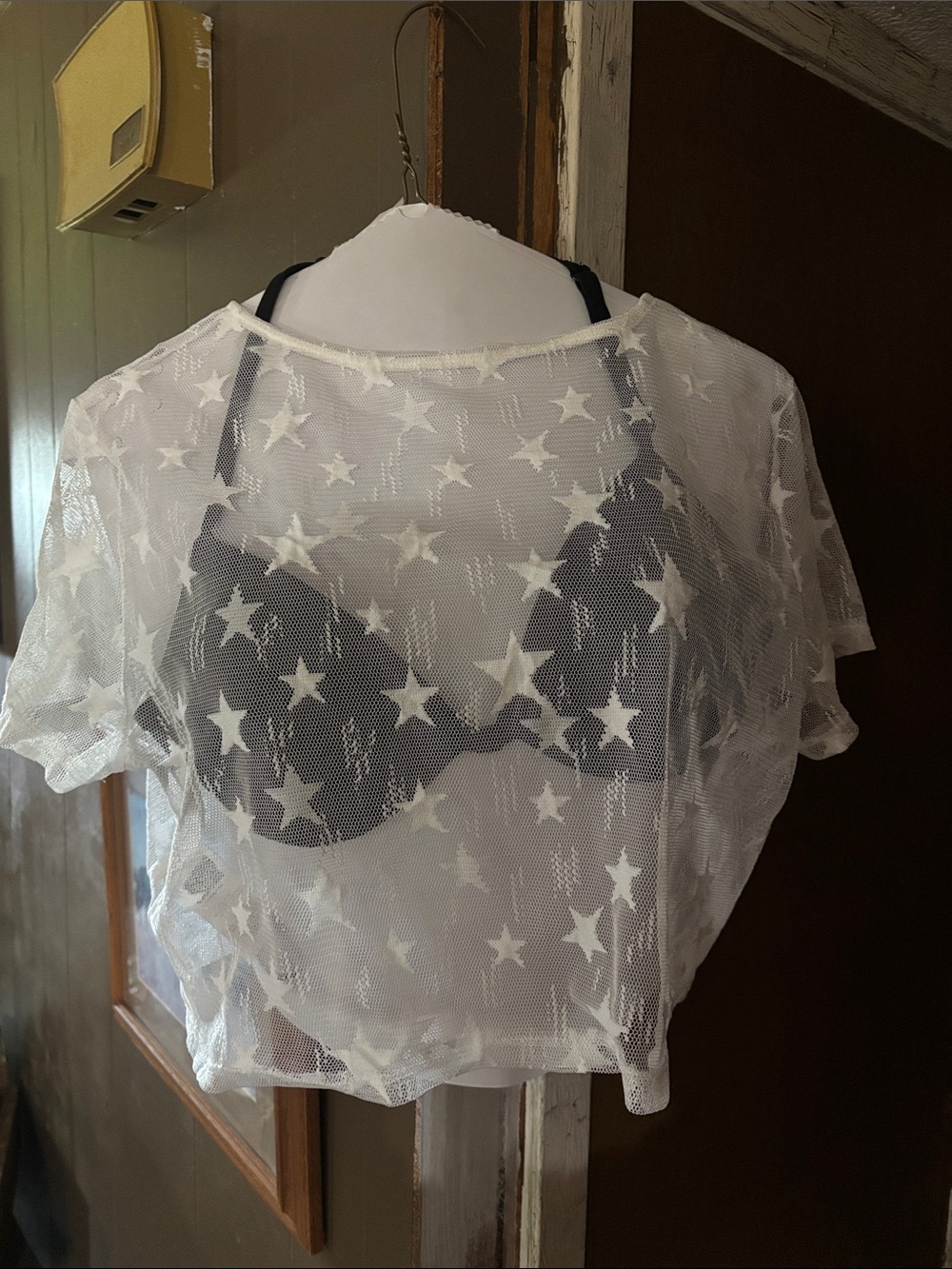 Sheer Star Mesh Crop Top - White